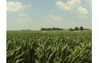 Property photo 36 - 160 Acres Offered in 6 Tracts